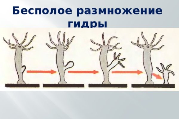 Как зайти на кракен через тор