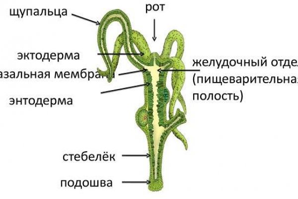 Кракен марихуана