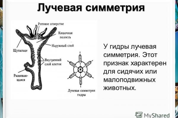 Кракен рабочая ссылка на официальный магазин